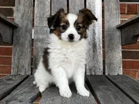 processed/7c74d003-f585-40a5-926c-7dcb83651fdc/listing/1eea4dcb-cb84-4f3a-b2cc-732a13b99e06/9a7fbebb-f446-411b-a083-5749949363fc