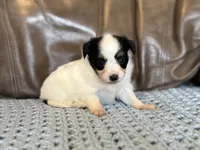 processed/7c74d003-f585-40a5-926c-7dcb83651fdc/listing/35d9a459-12f8-4c78-8ffd-32224c4dc640/47036de3-6c18-404d-a3b8-1d430c77e1eb