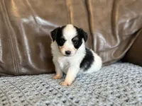 processed/7c74d003-f585-40a5-926c-7dcb83651fdc/listing/35d9a459-12f8-4c78-8ffd-32224c4dc640/52940b6c-3560-4e2a-a541-b8adf68274f1