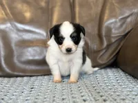 processed/7c74d003-f585-40a5-926c-7dcb83651fdc/listing/35d9a459-12f8-4c78-8ffd-32224c4dc640/59f112b0-fbba-4417-b815-a19b04279d78