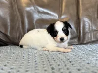 processed/7c74d003-f585-40a5-926c-7dcb83651fdc/listing/35d9a459-12f8-4c78-8ffd-32224c4dc640/f90d40af-3ac1-485d-90da-ddc40b2786b2