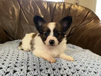 processed/7c74d003-f585-40a5-926c-7dcb83651fdc/listing/565062cb-65e2-42ae-86a5-e013a7d3da11/28b52361-4e72-41b7-aa7e-76e1ba2869d0