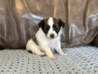 processed/7c74d003-f585-40a5-926c-7dcb83651fdc/listing/565062cb-65e2-42ae-86a5-e013a7d3da11/36e61340-2d2c-47f9-9707-ee6befad4fa7