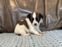 processed/7c74d003-f585-40a5-926c-7dcb83651fdc/listing/565062cb-65e2-42ae-86a5-e013a7d3da11/8c0e7841-da80-4a8a-82c4-27f6c527933f