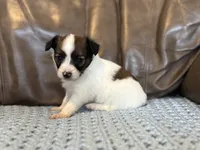 processed/7c74d003-f585-40a5-926c-7dcb83651fdc/listing/565062cb-65e2-42ae-86a5-e013a7d3da11/96a74713-20fe-452a-9c2a-52b71a073c71