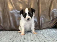 processed/7c74d003-f585-40a5-926c-7dcb83651fdc/listing/565062cb-65e2-42ae-86a5-e013a7d3da11/dab9fe4f-3eb3-4aaa-906d-26aa61cbb7a6