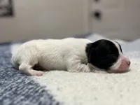 processed/7c74d003-f585-40a5-926c-7dcb83651fdc/listing/5c60dfb8-267d-47a2-b7bf-79be5b9572f6/6ee099cc-7f9e-46af-b247-0ebe3e4f05d3