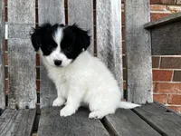 processed/7c74d003-f585-40a5-926c-7dcb83651fdc/listing/5c60dfb8-267d-47a2-b7bf-79be5b9572f6/79b62e5d-c479-4720-81d1-08234d3eb053