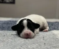 processed/7c74d003-f585-40a5-926c-7dcb83651fdc/listing/5c60dfb8-267d-47a2-b7bf-79be5b9572f6/834525e7-4b2e-4302-9a17-0eeee16917b1