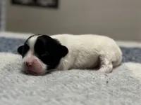 processed/7c74d003-f585-40a5-926c-7dcb83651fdc/listing/5c60dfb8-267d-47a2-b7bf-79be5b9572f6/9b3d9735-8a07-4ac7-8838-fca59cd58481