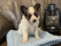 processed/7c74d003-f585-40a5-926c-7dcb83651fdc/listing/a9b9ffcc-b59b-4ab2-a8ef-aaa8fe9015b8/85c39768-f1ee-4116-a4f1-712935d4d3b0