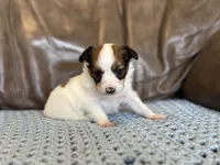 processed/7c74d003-f585-40a5-926c-7dcb83651fdc/listing/a9b9ffcc-b59b-4ab2-a8ef-aaa8fe9015b8/c376e595-c6d3-40c5-a051-6cccc5b79b27