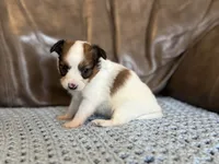 processed/7c74d003-f585-40a5-926c-7dcb83651fdc/listing/a9b9ffcc-b59b-4ab2-a8ef-aaa8fe9015b8/d1dfbee5-e64c-4af2-b0c6-8cc115a141b2