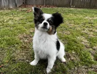 processed/7c74d003-f585-40a5-926c-7dcb83651fdc/listing/b1892eea-e2fc-4ee1-bb3f-efaa83a2e6e5/b142e8cc-8fd8-4f41-a83c-2864d7e4ac8f