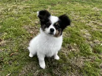 processed/7c74d003-f585-40a5-926c-7dcb83651fdc/listing/b1892eea-e2fc-4ee1-bb3f-efaa83a2e6e5/c5468547-e8cf-45e6-bfa7-72f9d3be3c6a