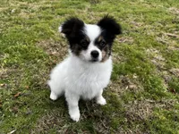 processed/7c74d003-f585-40a5-926c-7dcb83651fdc/listing/b1892eea-e2fc-4ee1-bb3f-efaa83a2e6e5/e598404d-c0b2-4848-8c1d-7f94cac156a1