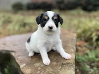 processed/7c74d003-f585-40a5-926c-7dcb83651fdc/listing/b91d0f26-dfde-4d03-a848-e0ec9d9a5e16/0fa1119a-0a60-4a45-aa2d-1c969a11d257