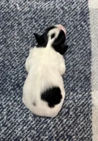 processed/7c74d003-f585-40a5-926c-7dcb83651fdc/listing/b91d0f26-dfde-4d03-a848-e0ec9d9a5e16/36a27289-5f26-4159-b4da-fb13d6bb8174