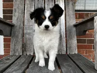 processed/7c74d003-f585-40a5-926c-7dcb83651fdc/listing/b91d0f26-dfde-4d03-a848-e0ec9d9a5e16/b5ffb520-075c-4400-b57b-3ec393efc5f9