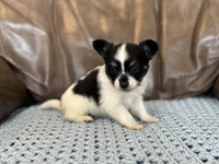 processed/7c74d003-f585-40a5-926c-7dcb83651fdc/listing/e656be22-d6f6-4407-8793-94d4970cd23a/360806a4-7d93-47bd-b055-1280528b4d15