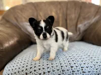 processed/7c74d003-f585-40a5-926c-7dcb83651fdc/listing/e656be22-d6f6-4407-8793-94d4970cd23a/456801cd-956a-4bbf-9c34-a6616cee5027