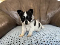 processed/7c74d003-f585-40a5-926c-7dcb83651fdc/listing/e656be22-d6f6-4407-8793-94d4970cd23a/930fa52f-9874-49f6-a45a-16ce1d14b87c