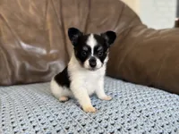 processed/7c74d003-f585-40a5-926c-7dcb83651fdc/listing/e656be22-d6f6-4407-8793-94d4970cd23a/bd204516-6de8-4720-983e-b971da8c5223