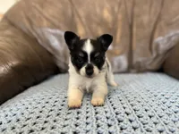 processed/7c74d003-f585-40a5-926c-7dcb83651fdc/listing/e656be22-d6f6-4407-8793-94d4970cd23a/d1de43b1-9d1b-4136-8645-78c065ae6dda