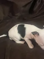 processed/7c78210d-e584-42f3-b0de-3bbe706c75ce/listing/82e28bef-0c6a-44ec-9ddb-06b300118b68/1570dee2-54bc-453b-b0f6-bd4fe18fe980