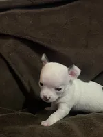 processed/7c78210d-e584-42f3-b0de-3bbe706c75ce/listing/82e28bef-0c6a-44ec-9ddb-06b300118b68/2bbd1fa2-ddb5-4f1b-abe3-88d3ecc104ae