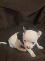 processed/7c78210d-e584-42f3-b0de-3bbe706c75ce/listing/82e28bef-0c6a-44ec-9ddb-06b300118b68/5aa5a00b-6073-4da9-8411-b9800e11e0a4