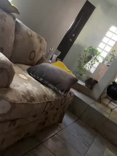 Facility video