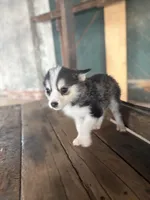 processed/7c88cceb-7f00-4b41-9c58-b3370db2038f/listing/1a22c197-3f7e-4b50-9eb3-b422d9e7c564/2f8d9f1a-19c7-41bb-8ed5-342a5ba8c065