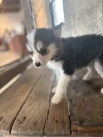 processed/7c88cceb-7f00-4b41-9c58-b3370db2038f/listing/1a22c197-3f7e-4b50-9eb3-b422d9e7c564/5c3f25f4-deb7-452d-944e-307cc833a5c6