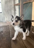 processed/7c88cceb-7f00-4b41-9c58-b3370db2038f/listing/1a22c197-3f7e-4b50-9eb3-b422d9e7c564/8e366907-e64e-42ac-a968-455b5559457a