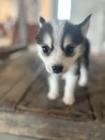 processed/7c88cceb-7f00-4b41-9c58-b3370db2038f/listing/1a22c197-3f7e-4b50-9eb3-b422d9e7c564/916a2a97-9b1c-4247-8c7a-1f11e5ccf0c8