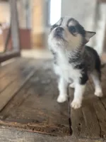 processed/7c88cceb-7f00-4b41-9c58-b3370db2038f/listing/1a22c197-3f7e-4b50-9eb3-b422d9e7c564/c9116d94-f663-42ee-9f7d-60eff4cd1459