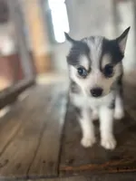 processed/7c88cceb-7f00-4b41-9c58-b3370db2038f/listing/1a22c197-3f7e-4b50-9eb3-b422d9e7c564/fb058258-576a-407c-8e33-d4dde612f535