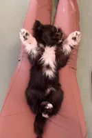 processed/7c88cceb-7f00-4b41-9c58-b3370db2038f/listing/3538b2b0-3b92-400b-b74d-1040cacb9d12/351ac9fd-c81f-492b-b93a-701664ce8e4d