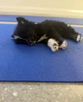 processed/7c88cceb-7f00-4b41-9c58-b3370db2038f/listing/3538b2b0-3b92-400b-b74d-1040cacb9d12/3822ab26-0c57-4395-86df-e5f73718b393