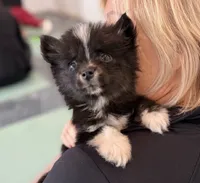 processed/7c88cceb-7f00-4b41-9c58-b3370db2038f/listing/3538b2b0-3b92-400b-b74d-1040cacb9d12/7f551d62-c076-44e0-b932-d1d27ec1f7e9