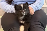 processed/7c88cceb-7f00-4b41-9c58-b3370db2038f/listing/3538b2b0-3b92-400b-b74d-1040cacb9d12/bb0045d7-516c-4954-8aa7-c27daa2d5348