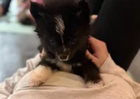 processed/7c88cceb-7f00-4b41-9c58-b3370db2038f/listing/3538b2b0-3b92-400b-b74d-1040cacb9d12/e1357dc6-b32b-40ac-8da1-808e15fe5cb5