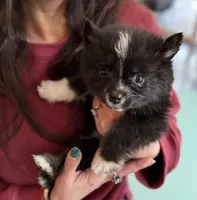 processed/7c88cceb-7f00-4b41-9c58-b3370db2038f/listing/3538b2b0-3b92-400b-b74d-1040cacb9d12/e853c32e-a8fa-4826-bc17-28512555c0c0