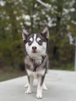 processed/7c88cceb-7f00-4b41-9c58-b3370db2038f/listing/3e4113e2-9430-43f9-b111-24bc70294bde/15bee3cc-9ece-4d81-b711-58cabe7d6f84