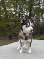 processed/7c88cceb-7f00-4b41-9c58-b3370db2038f/listing/3e4113e2-9430-43f9-b111-24bc70294bde/4589080d-8028-47b0-a5d4-d3c68bf8b0ad