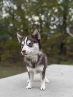 processed/7c88cceb-7f00-4b41-9c58-b3370db2038f/listing/3e4113e2-9430-43f9-b111-24bc70294bde/79f5f02c-74d2-4d90-bf02-a4f615657d50