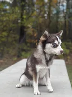 processed/7c88cceb-7f00-4b41-9c58-b3370db2038f/listing/3e4113e2-9430-43f9-b111-24bc70294bde/954a9dd1-e61f-4ea7-a8a6-8fc1a695e47e