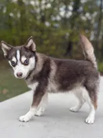 processed/7c88cceb-7f00-4b41-9c58-b3370db2038f/listing/3e4113e2-9430-43f9-b111-24bc70294bde/96a4e4b3-0437-47ed-b3f7-b4eb2f45dcfe