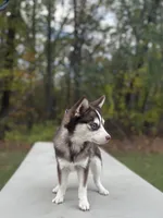 processed/7c88cceb-7f00-4b41-9c58-b3370db2038f/listing/3e4113e2-9430-43f9-b111-24bc70294bde/e96e6b1c-583b-4040-85b6-ad638474867b